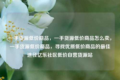 一手货源低价商品，一手货源低价商品怎么卖，一手货源低价商品	，寻找优质低价商品的最佳途径亿乐社区低价自营货源站  第1张